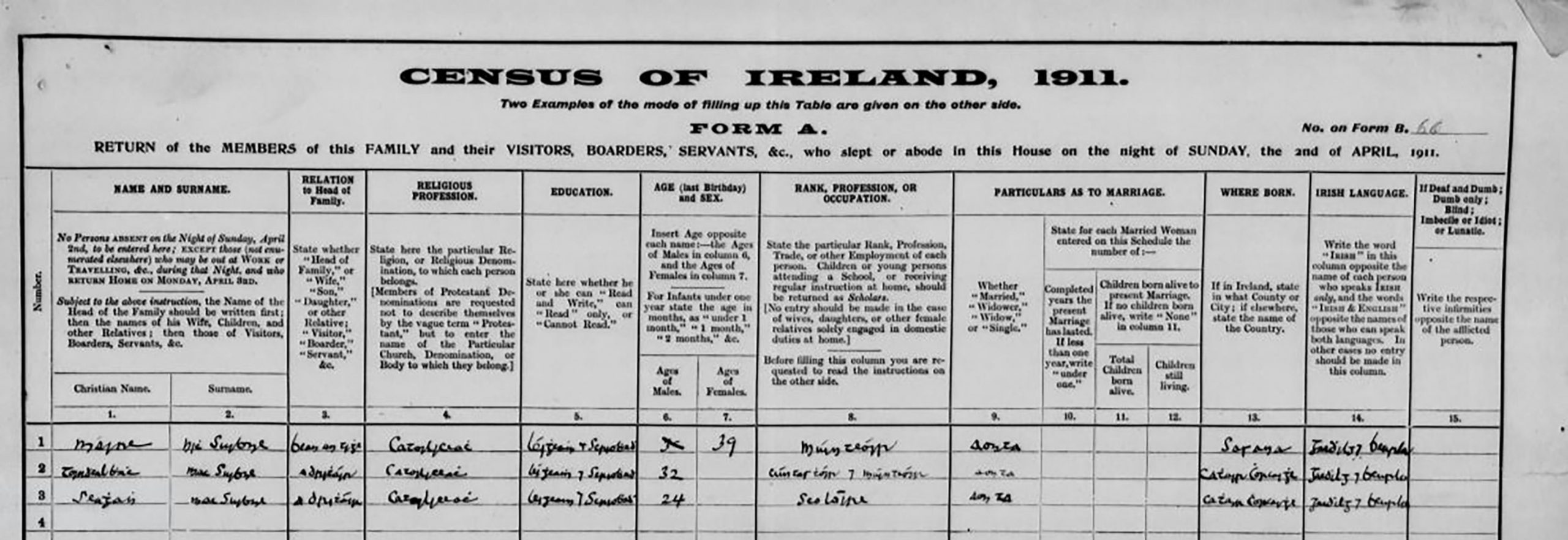 Mary MacSwiney 1911 Census Return