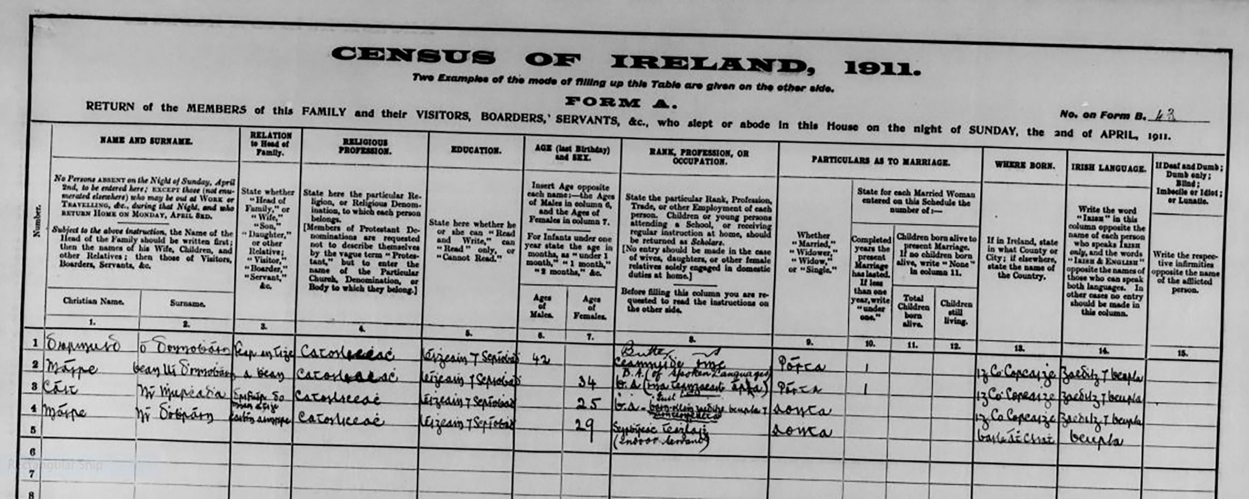 Kate Murphy 1911 Census Return