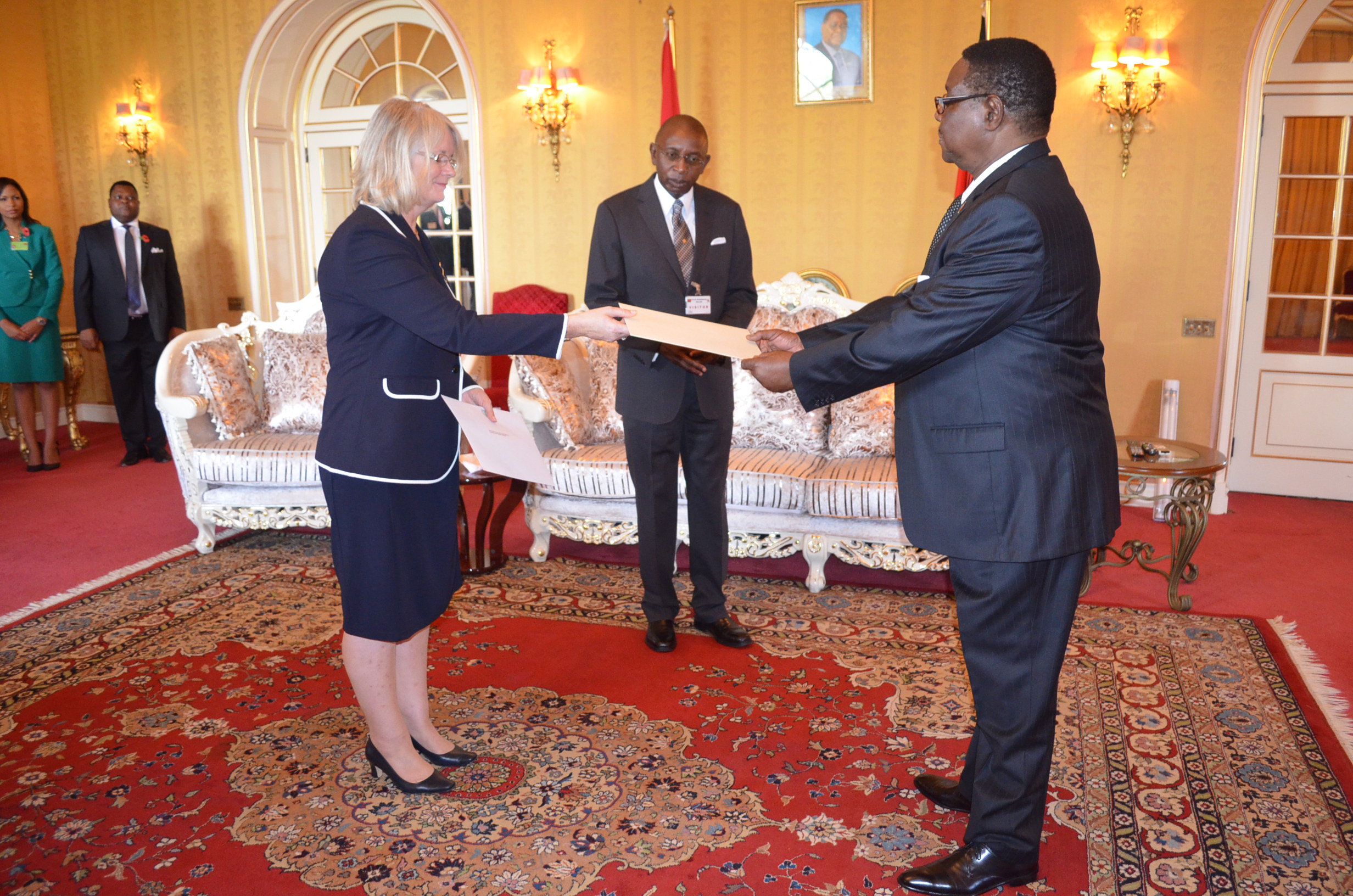 Presentation of Credentials by Ambassador Áine Hearns to President Arthur Peter Mutharika on 3rd November 2014.